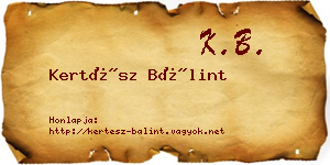 Kertész Bálint névjegykártya